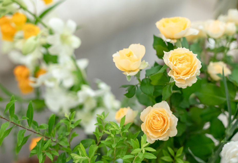 名古屋市結婚式場ビアンカーラヒルサイドテラス。明るいイエローのミニバラと可憐な白い花々が咲き誇る、ウェディング会場のフラワーコーディネート。みずみずしいグリーンの葉が爽やかさを添える、華やかで温かみのある装花。